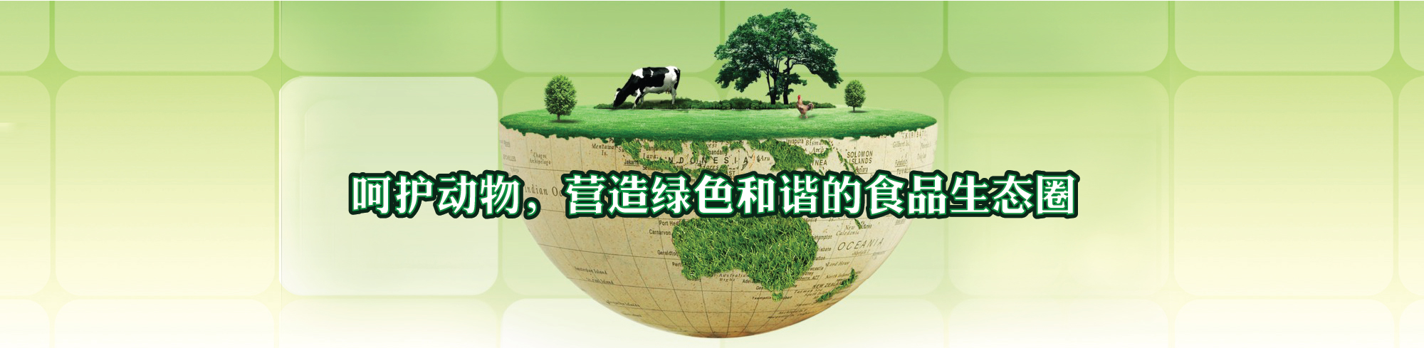 呵護動物健康